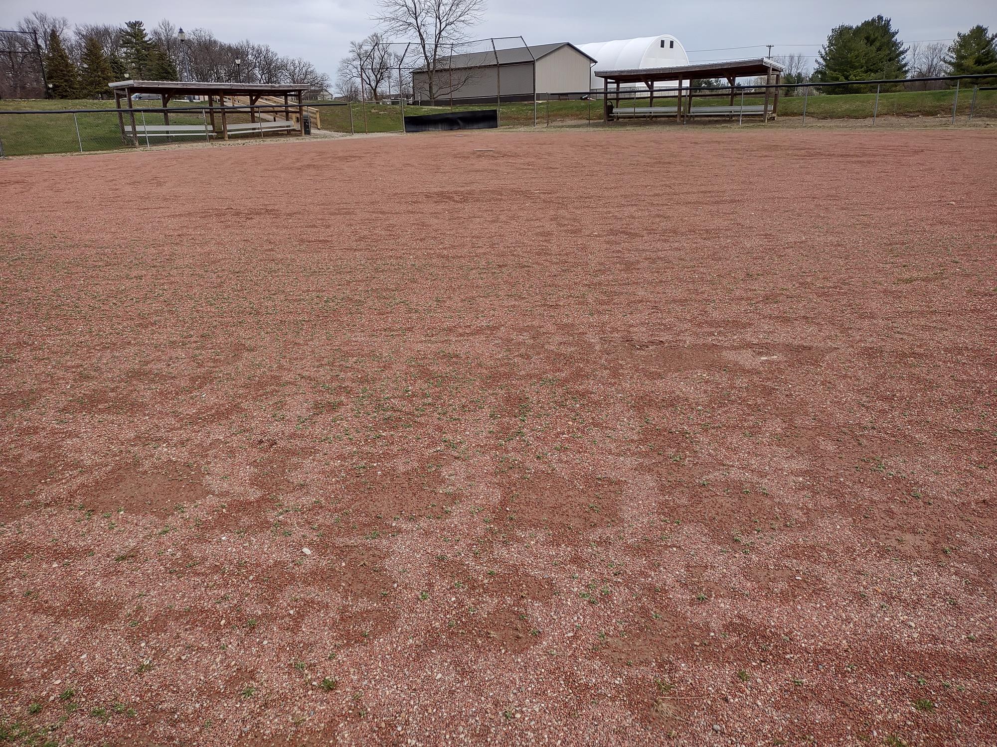 Harry Wolfe baseball looking into home plate
